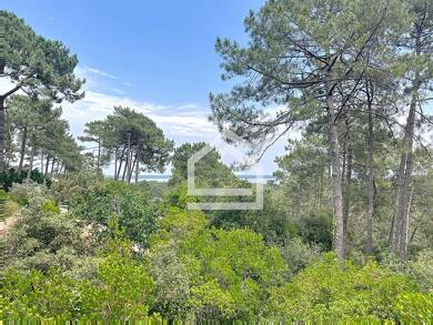 Maison à vendre 966 000 € 6 pièces 4 chambres 155 m² 1 253 m² de terrain Lacanau 33680