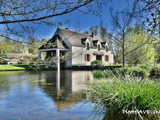 Maison à vendre 549 000 € 11 pièces 6 chambres 353 m² 30 000 m² de terrain Cloyes-les-Trois-Rivières 28220