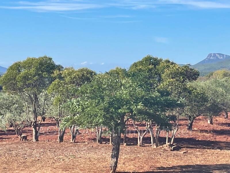 Maison à louer, 147m², PUGET VILLE