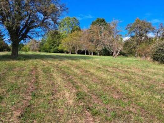 Terrain à vendre 35 000 € 2 246 m² de terrain Saint-Maurice-sur-Aveyron 45230