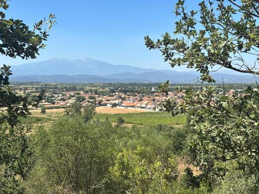 Terrain à vendre 15 000 € 4 000 m² de terrain Brouilla 66620