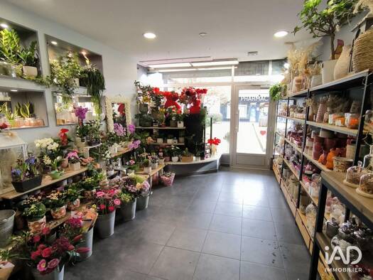 Boutique à vendre 93 000 € 55 m² de surface de vente Les Arboras Grigny-sur-Rhône 69520
