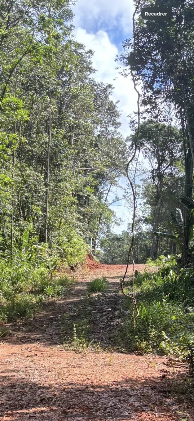 Terrain à vendre 32 000 € 5 000 m² de terrain Montsinéry-Tonnegrande 97300