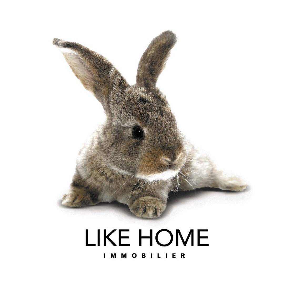 LIKE HOME GESTION