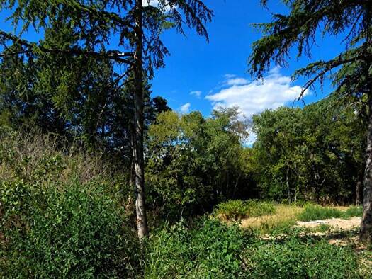 Terrain constructible viabilisé à vendre 795 000 € 1 200 m² de terrain Castelnau-Centre Ville Castelnau-le-Lez 34170