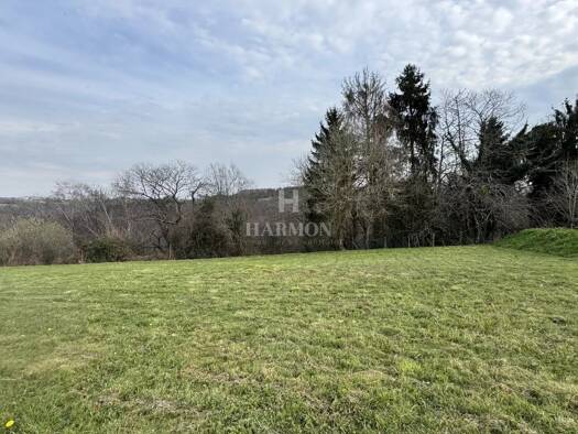 Terrain constructible viabilisé à vendre 70 000 € 1 316 m² de terrain Serres-Sainte-Marie 64170