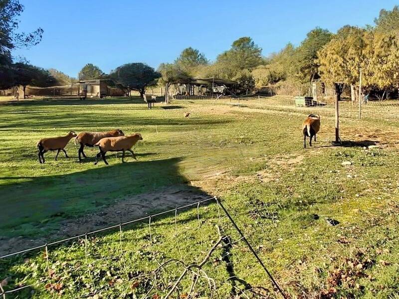 Maison à vendre, 140m², NIMES