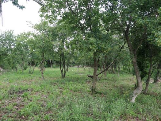 Terrain à vendre 78 000 € 1 635 m² de terrain Salazac 30760