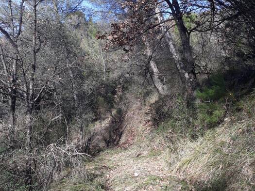 Terrain à vendre 86 400 € 2 800 m² de terrain L'Escarène 06440