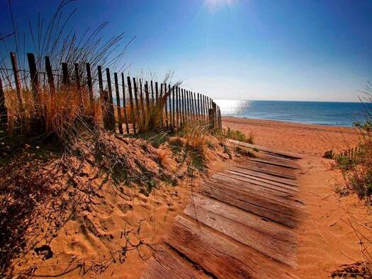 Appartement à vendre 262 000 € 3 pièces 2 chambres 66 m² Étage 1/2 Centre Ville Sérignan 34410