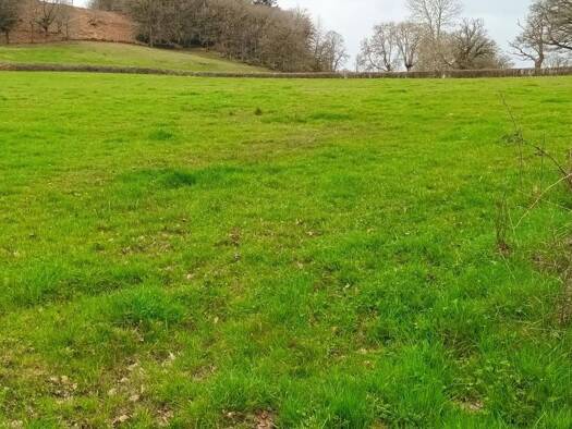 Terrain à vendre 36 500 € 80 340 m² de terrain Treignat 03370