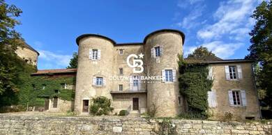 Château à vendre 2 700 000 € 36 pièces 17 chambres 970 m² Igé 71960