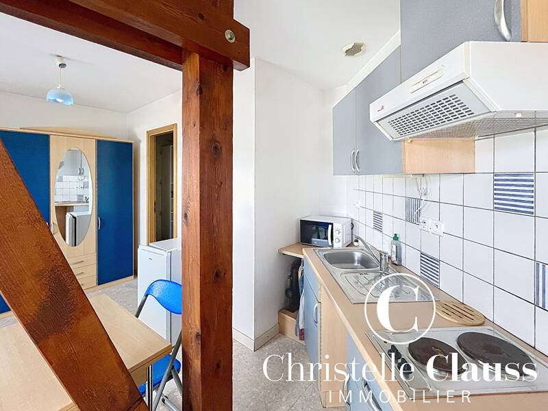 Maison à louer, 19m², OTTMARSHEIM