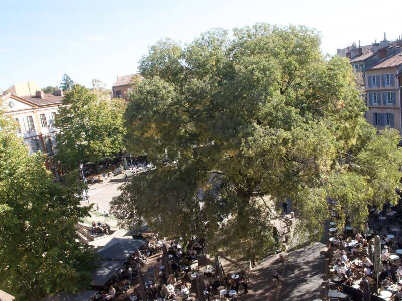 Maison à louer, 118m², TOULOUSE