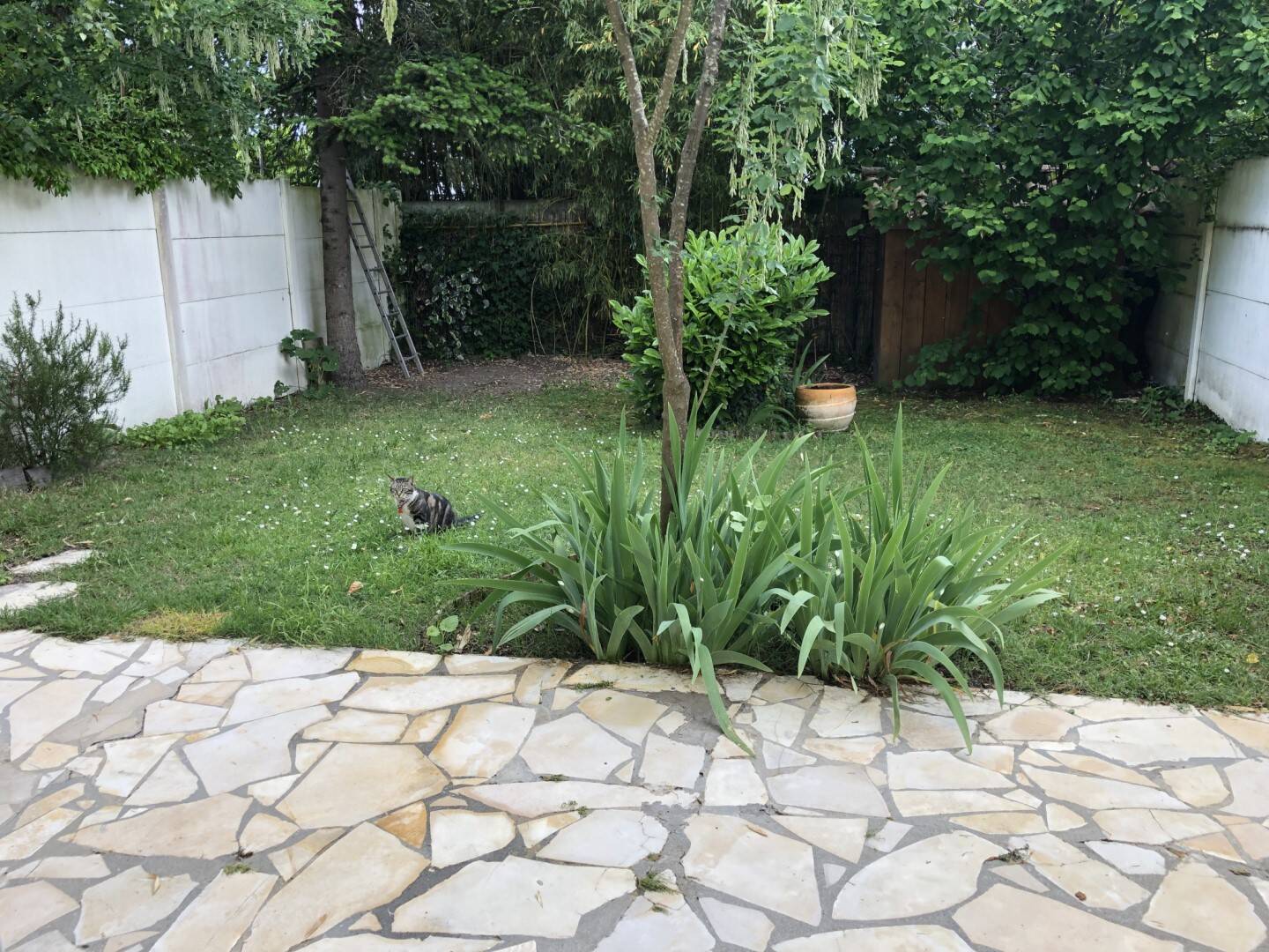 Maison à louer, 92m², MERIGNAC