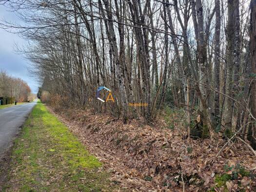Terrain constructible à vendre 73 900 € 7 200 m² de terrain Presly 18380