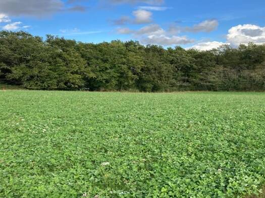 Terrain constructible à vendre 18 000 € 1 897 m² de terrain Saint-Sauveur-Lalande 24700