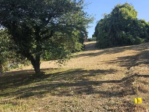 Terrain constructible à vendre 162 000 € 892 m² de terrain Coteau Ouest-Les Forges Est Épernay 51200