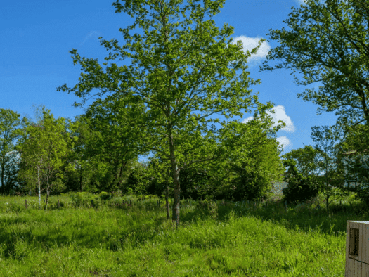 Terrain avec maison neuve à vendre 221 124 € 3 pièces 2 chambres 80 m² 422 m² de terrain Besné 44160
