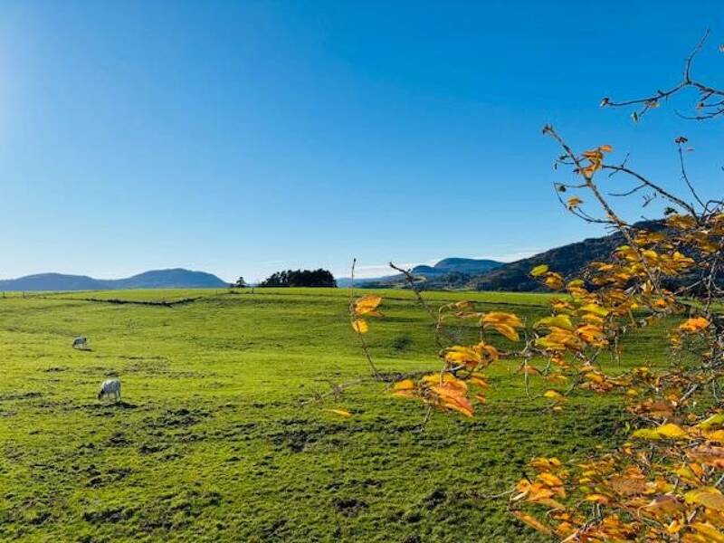 Maison à vendre, 110m², BEAUZAC