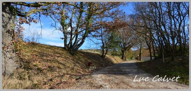 Maison à vendre 425 000 € 9 pièces 5 chambres 390 m² 41 671 m² de terrain Puylaurens 81700