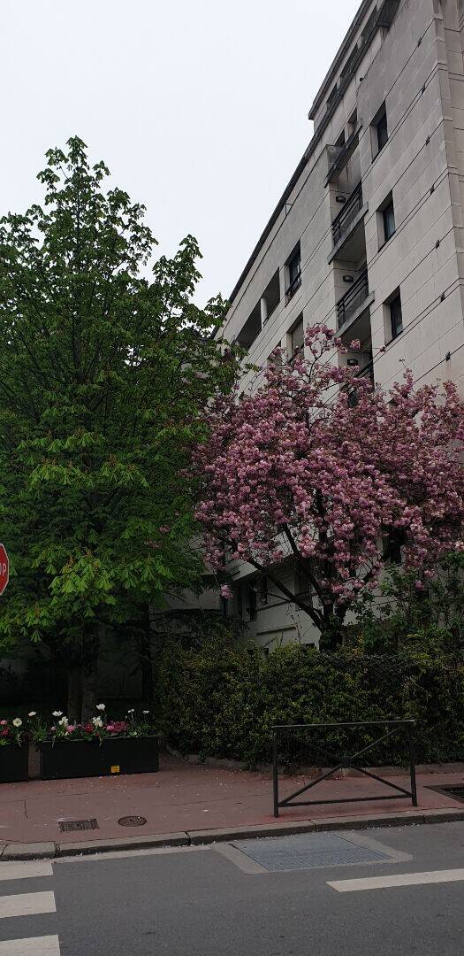 Maison à louer, 22m², LEVALLOIS PERRET