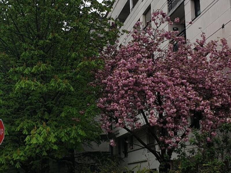 Maison à louer, 22m², LEVALLOIS PERRET