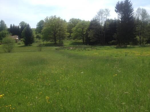 Terrain à vendre 55 000 € 800 m² de terrain Phaffans 90150