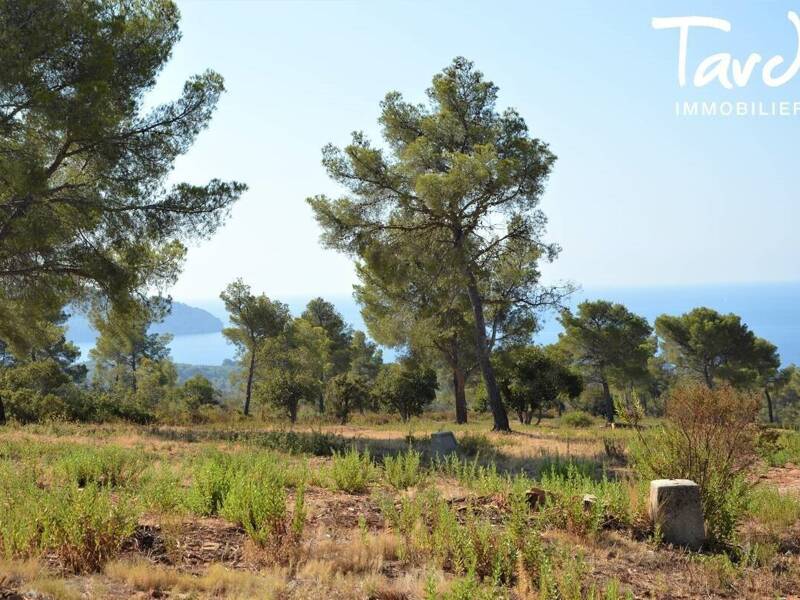 Maison à vendre, 300m², LA CIOTAT