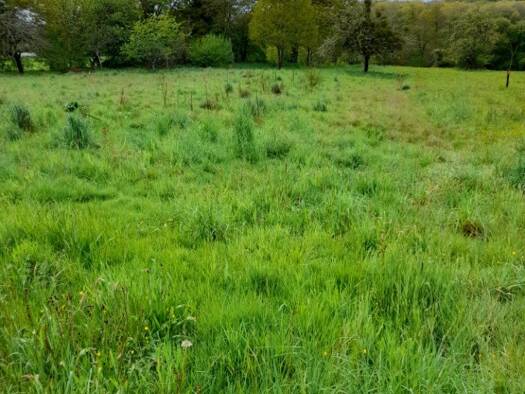 Terrain constructible à vendre 28 500 € 2 000 m² de terrain Saint-Hilaire-les-Places 87800