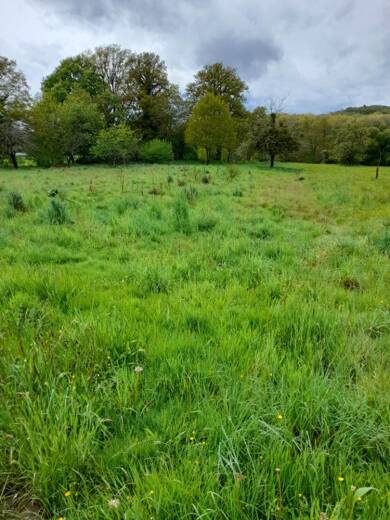 Terrain constructible à vendre 28 500 € 2 000 m² de terrain Saint-Hilaire-les-Places 87800