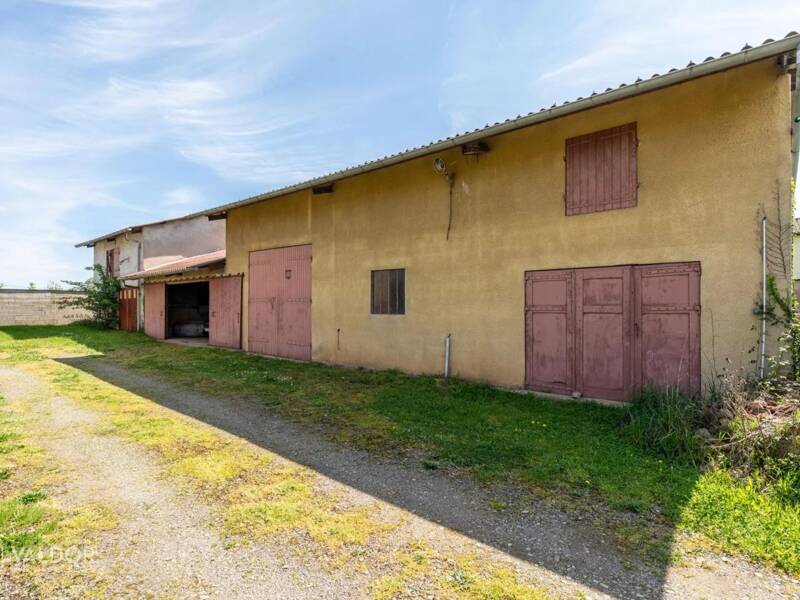 Maison à vendre, 310m², SAINT GEORGES DE RENEINS