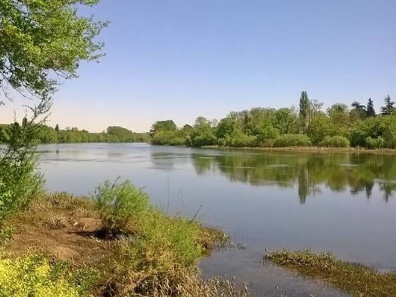 Maison à louer, 85m², SAINT SEURIN SUR L'ISLE