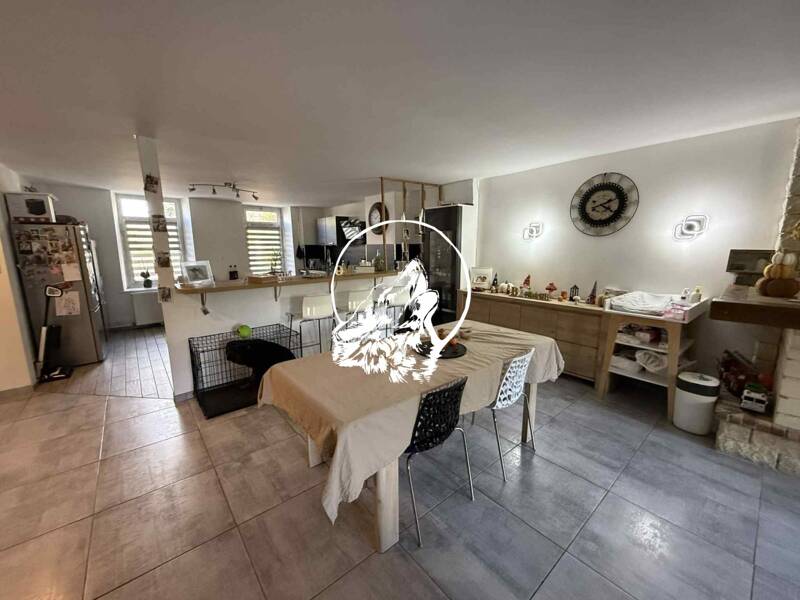 Maison à vendre, 297m², CHATEAU SALINS