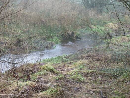 Maison à vendre 99 000 € 4 pièces 200 m² 73 000 m² de terrain Bourbriac 22390