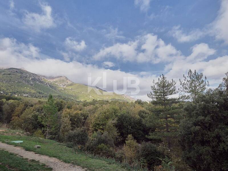 Maison à vendre, 153m², POGGIO DI VENACO