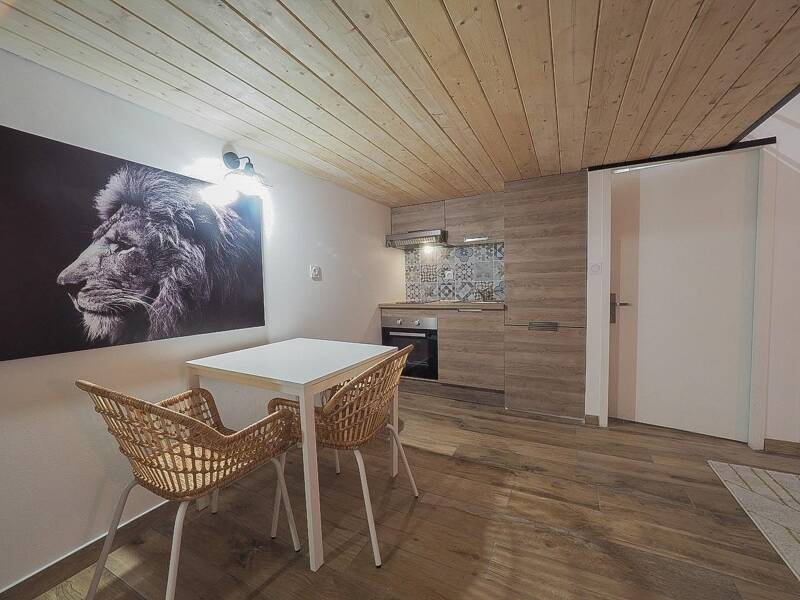 Maison à louer, 41m², LYON 2E