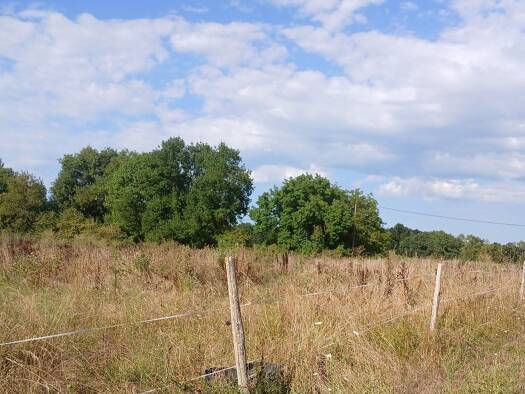 Terrain constructible à vendre 80 000 € 1 000 m² de terrain Ribérac 24600