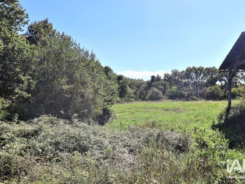 Maison à vendre, 377m², SAINT MARTIN DE HINX