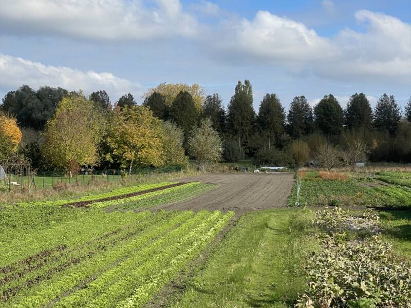 Maison à vendre, 85m², AMIENS