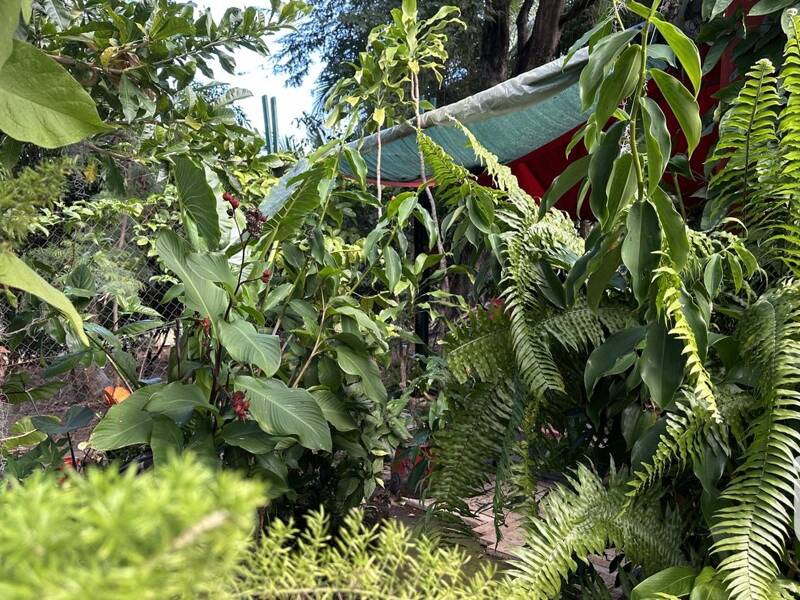 Maison à vendre, 74m², L'ETANG SALE