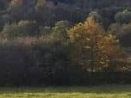 Terrain constructible à vendre 59 000 € 1 373 m² de terrain Sorans-lès-Breurey 70190