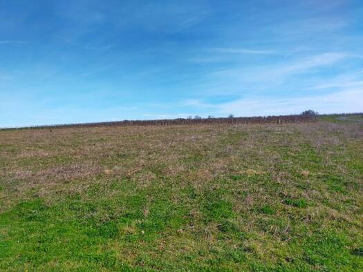 Terrain constructible à vendre 19 990 € 1 500 m² de terrain Baignes-Sainte-Radegonde 16360