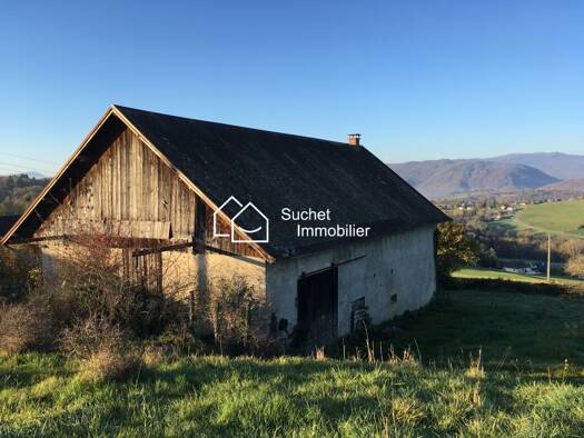 Ferme à vendre 350 000 € 8 pièces 5 chambres 280 m² 17 155 m² de terrain Thusy 74150