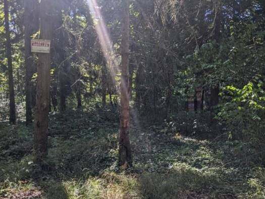 Terrain à vendre 18 700 € 3 025 m² de terrain Romanie Les Essarts-le-Roi 78690
