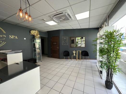 Local commercial à louer 4 882 € Le Lamentin 97232