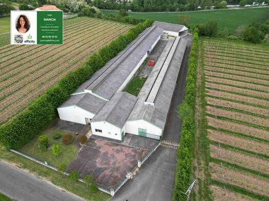 Local commercial à vendre 475 000 € 2 282 m² de surface de vente Vieil Angoulême-Centre Ville Angoulême 16000