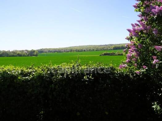 Maison à vendre 129 000 € 4 pièces 3 chambres 98 m² 2 199 m² de terrain Ruan-sur-Egvonne 41270