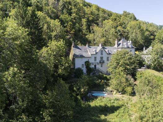 Villa à vendre 676 000 € 20 pièces 12 chambres 500 m² 3 787 m² de terrain Saint-Cirgues-de-Jordanne 15590