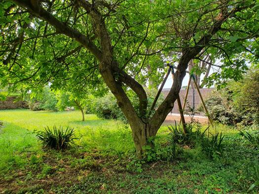 Maison de plain-pied à vendre 593 160 € 4 pièces 2 chambres 73 m² 1 268 m² de terrain Locmariaquer 56740